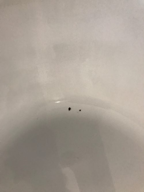 bath chip repair